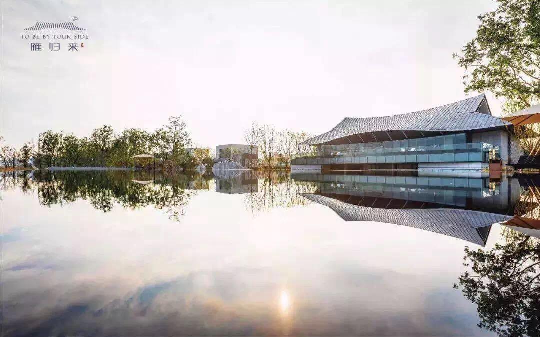 欧美丰满一区二区免费视频