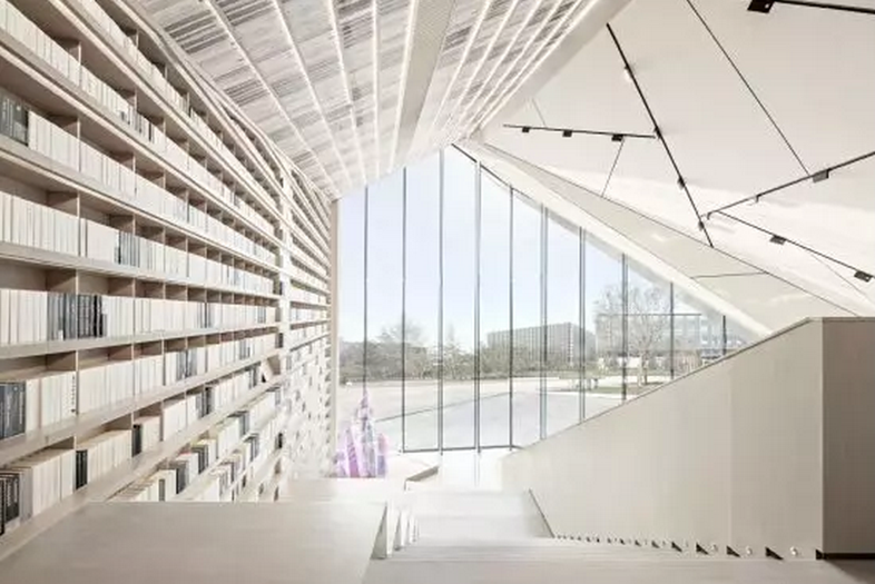 欧美丰满一区二区免费视频