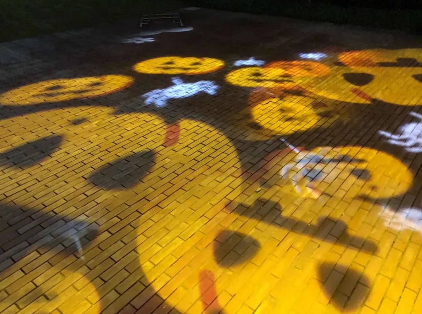 欧美丰满一区二区免费视频