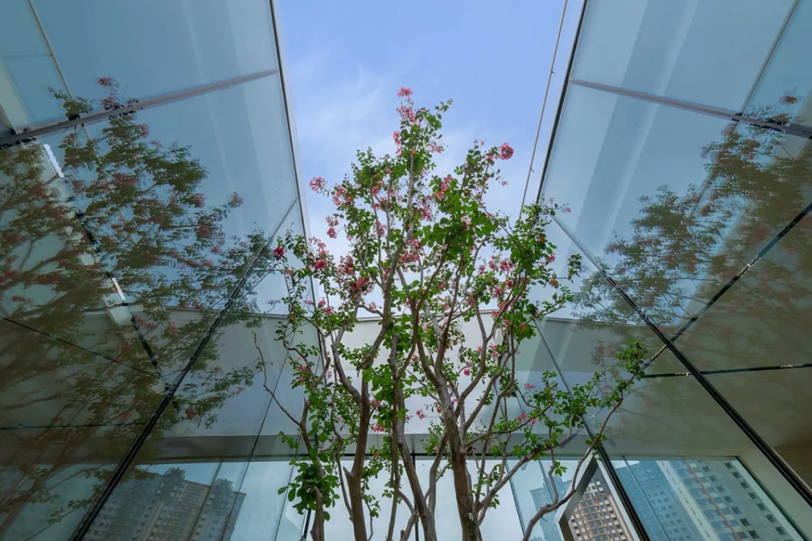 欧美丰满一区二区免费视频