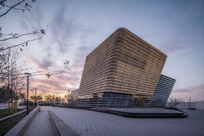 欧美丰满一区二区免费视频