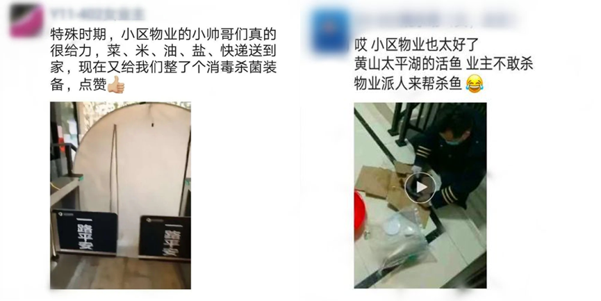 欧美丰满一区二区免费视频