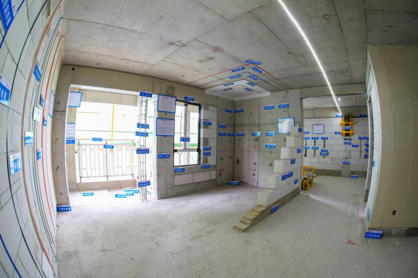 欧美丰满一区二区免费视频