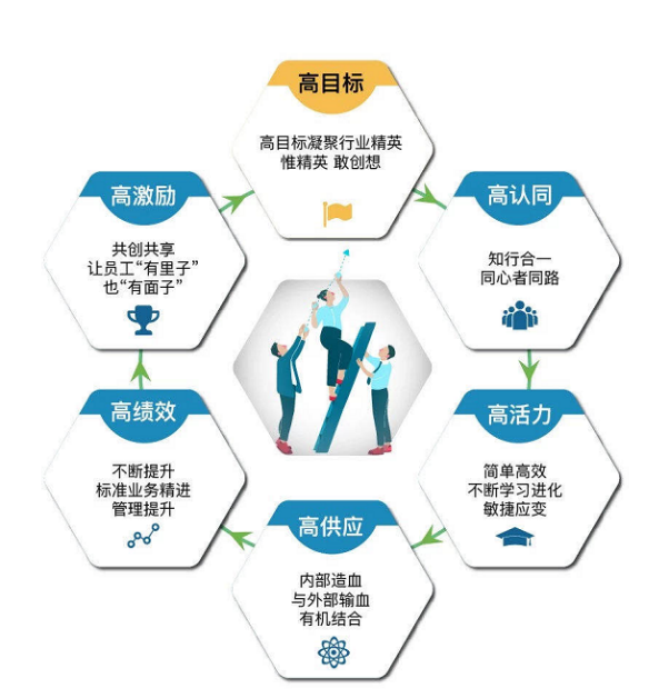 欧美丰满一区二区免费视频