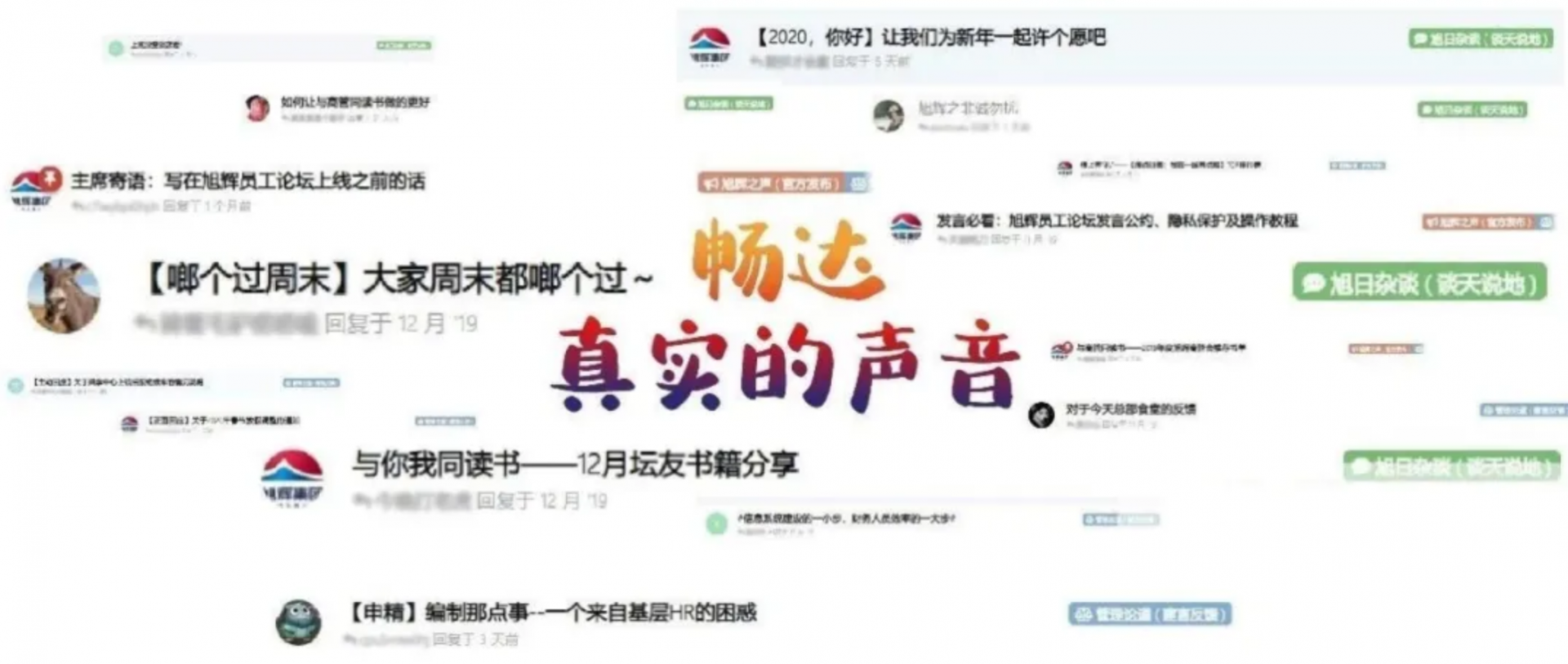 欧美丰满一区二区免费视频