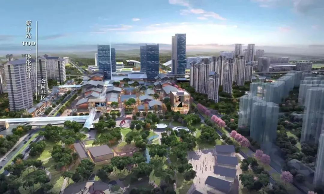 欧美丰满一区二区免费视频