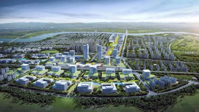 欧美丰满一区二区免费视频