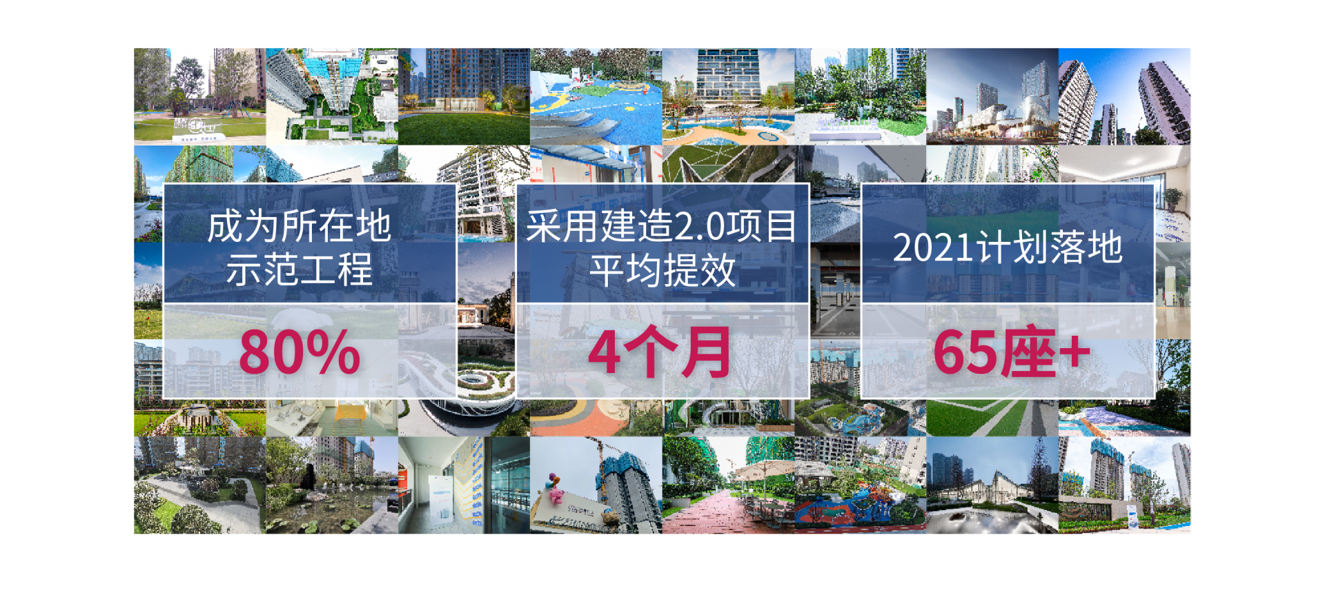 欧美丰满一区二区免费视频